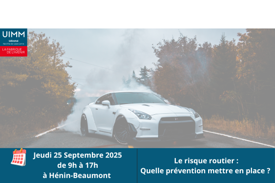 LE RISQUE ROUTIER, QUELLE PREVENTION METTRE EN PLACE ?